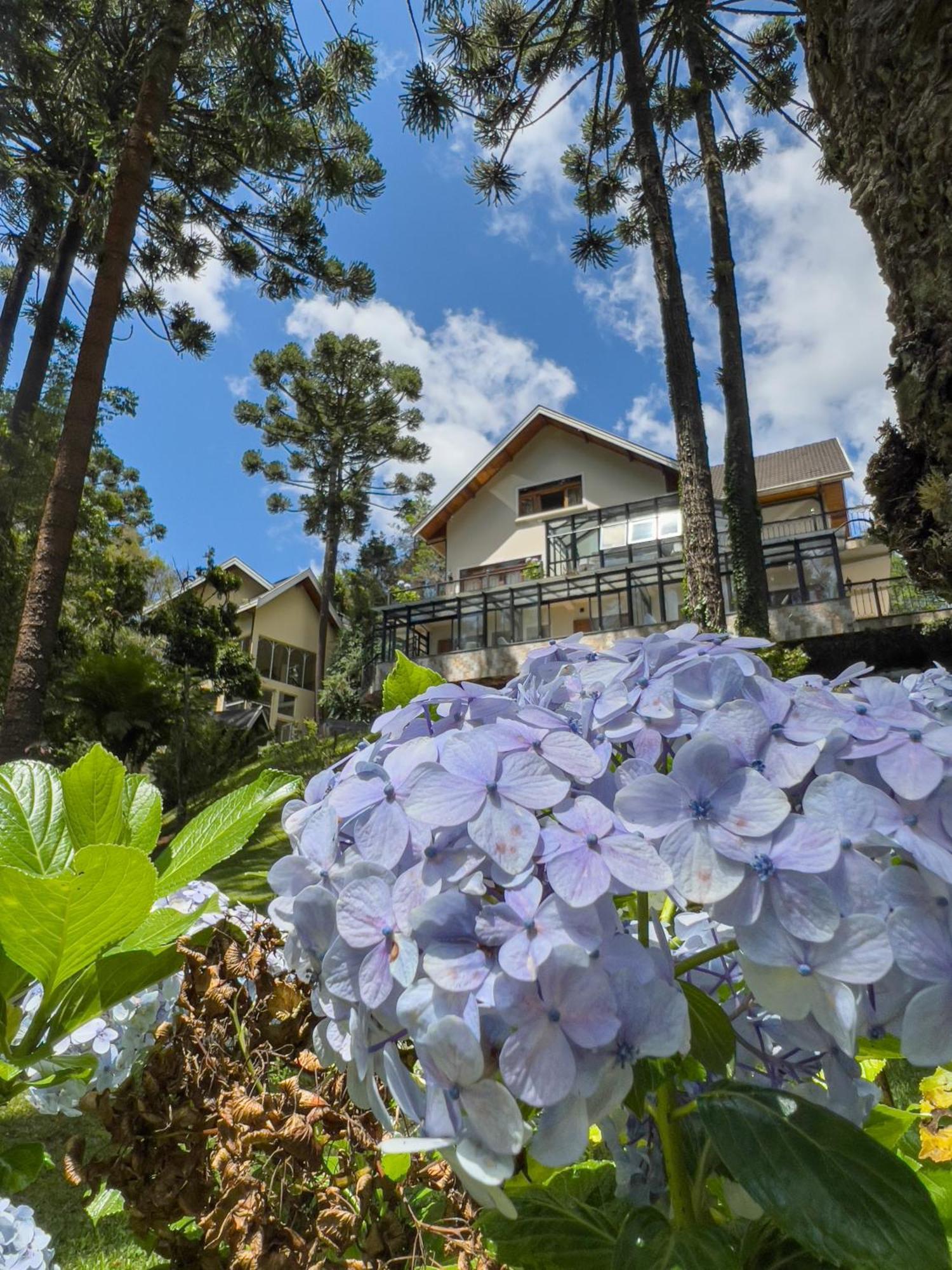 Araucaria Lodge Campos do Jordão 외부 사진